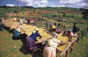 Kenya-agriculture1